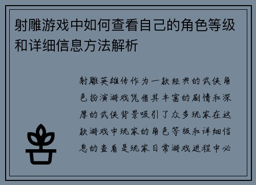 射雕游戏中如何查看自己的角色等级和详细信息方法解析